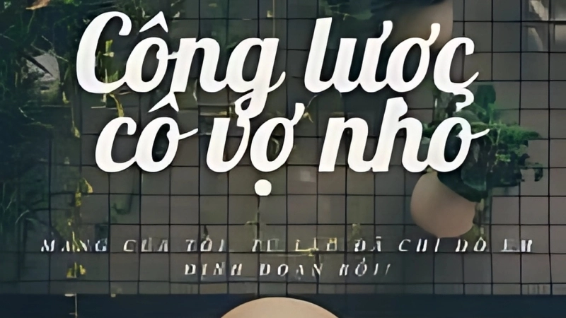 Giới thiệu về truyện Công Lược Cô Vợ Nhỏ