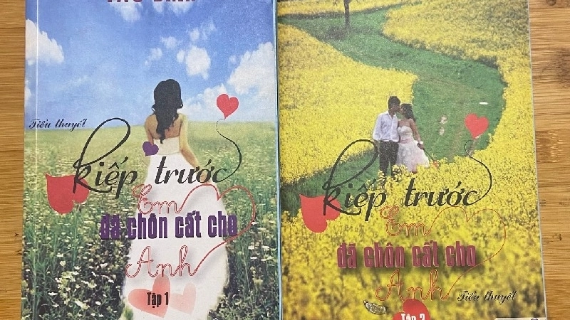 Giới thiệu chung về truyện Kiếp Trước Em Đã Chôn Cất Cho Anh