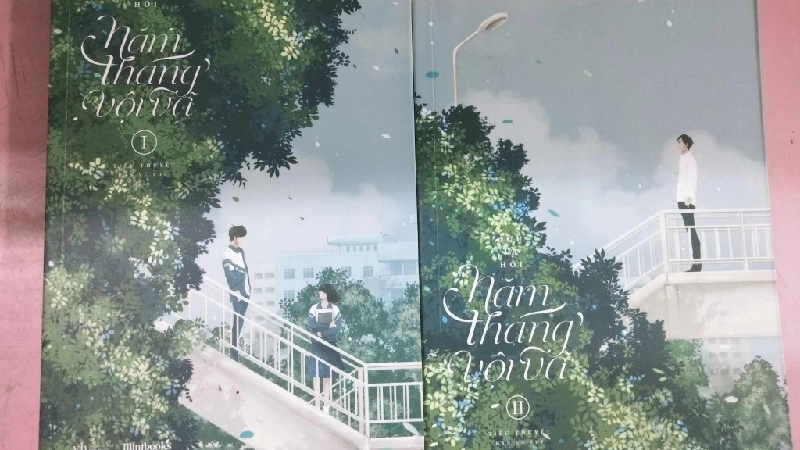 Giới thiệu chung về truyện