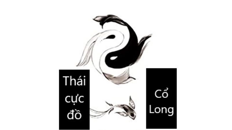 Tóm tắt Thái Cực Đồ hé lộ sức mạnh cân bằng vạn vật
