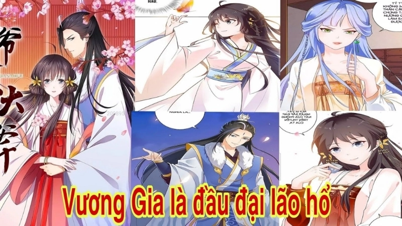 Giới thiệu về tác giả và tác phẩm Vương Gia Là Đầu Đại Lão Hổ