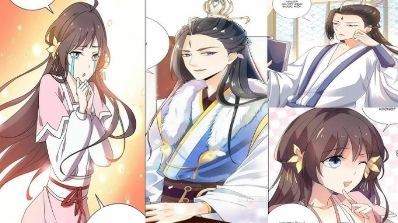 Tóm tắt chi tiết tác phẩm Vương Gia Là Đầu Đại Lão Hổ