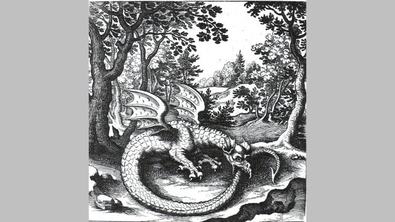 Trải nghiệm cá nhân khi đọc Rồng Ouroboros 