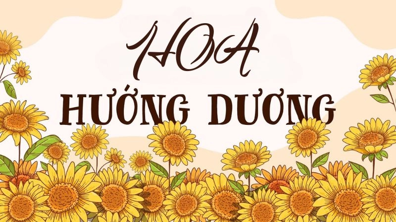 Thông tin chung về truyện Hoa hướng dương 
