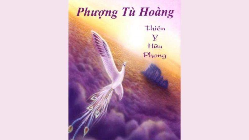 Thông tin chung về Phượng Tù Hoàng