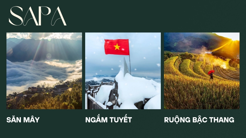 Ruộng bậc thang sapa phủ sương mù tuyệt đẹp vào mùa đông