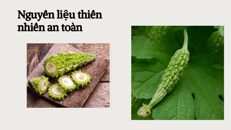 Mướp đắng là nguyên liệu thiên nhiên trị rôm sảy lành tính