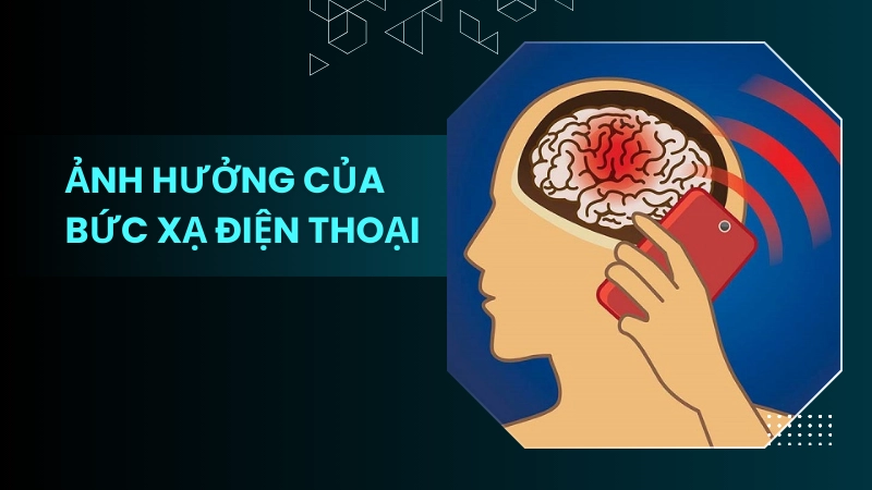Mô phỏng tác động của sóng điện từ lên não bộ con người