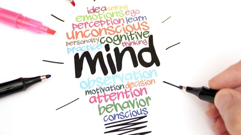 Nghệ thuật sử dụng màu sắc kích thích thị giác