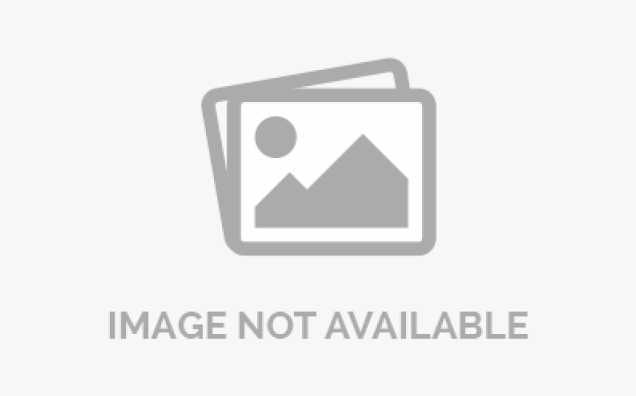 Hình ảnh đại diện cho cảm xúc dạt dào trong truyện Mãi Mãi Là Bao Xa