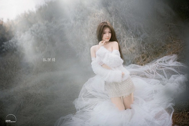 Hình ảnh minh họa vẻ đẹp mị hoặc của loài cáo chín đuôi trong truyền thuyết