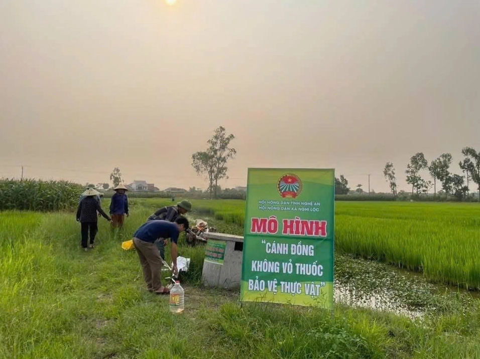 Hình minh họa nhân vật chính trong hình hài loài bò sát bắt đầu hành trình sinh tồn