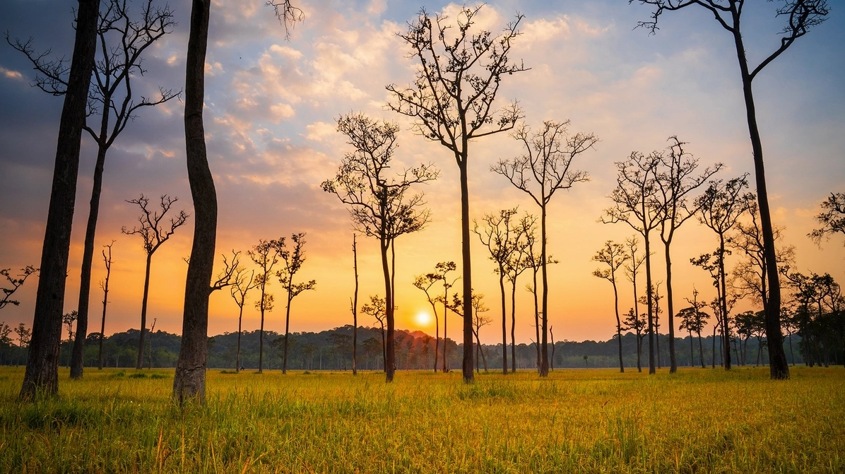 Khám phá cánh đồng lúa Tà Lài ở Đồng Nai