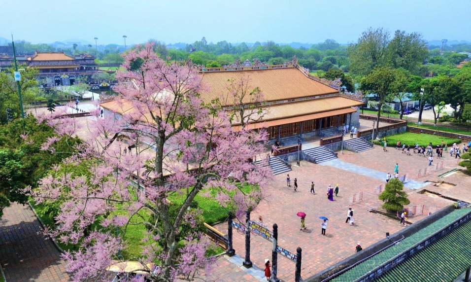 Khung cảnh hoàng cung tráng lệ làm nền cho những trận chiến nảy lửa