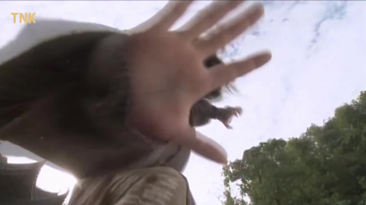 Kiều Phong dùng Hàng long thập bát chưởng cứu A Tử