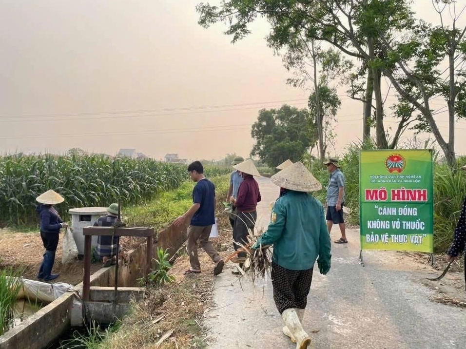 Quá trình lột xác và tiến hóa sức mạnh qua từng giai đoạn