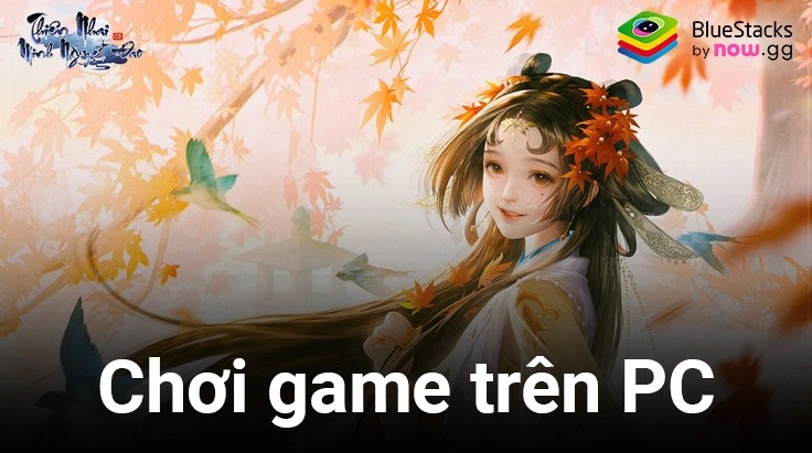 Trải nghiệm nghệ thuật đỉnh cao qua từng khung hình