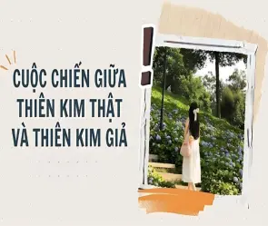 Tóm tắt truyện Cuộc chiến của những thiên kim hay nhất