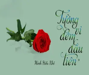 Toàn cảnh tóm tắt truyện Tường Vi Đêm Đầu Tiên ấn tượng