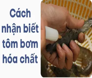 Cách nhận biết tôm bơm hóa chất qua màu sắc lạ tại chợ