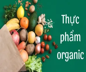 Thực phẩm organic giúp ăn sạch sống khỏe mỗi ngày
