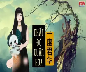 Đánh giá chi tiết sức hút mãnh liệt từ thế giới truyện Nhất Độ Quân Hoa