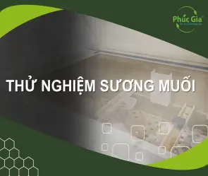 Review Kiếm khí nghiêm sương khám phá thế giới kiếm hiệp đỉnh cao