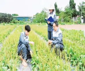 Review Phi ưng diệt bạo chân thực trải nghiệm phim hành động đỉnh cao