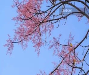 Review Quyền Vương Trải Nghiệm Cảm Xúc Tuyệt Vời Của Siêu Phẩm Hành Động Võ Thuật