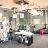 Kinh nghiệm khám bệnh cho mèo và bảng giá dịch vụ mới nhất 2026