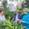 Tác động của thời tiết đến nông nghiệp và giải pháp ứng phó năm 2026