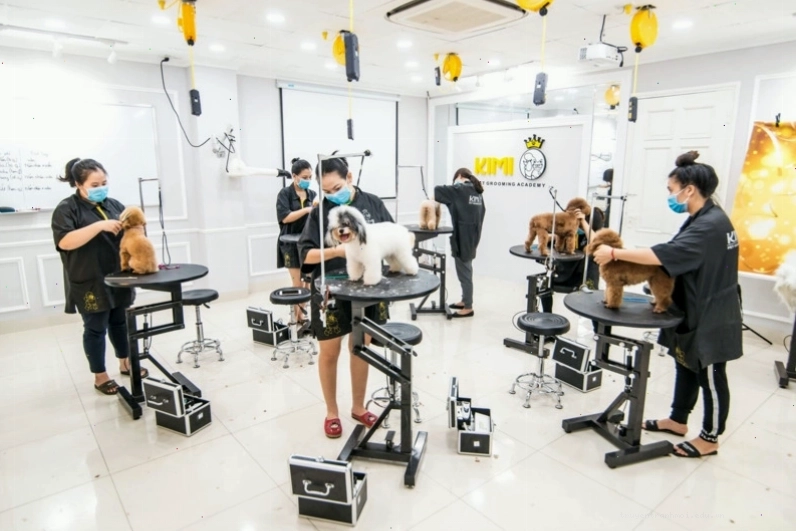 Dịch vụ spa và chăm sóc sắc đẹp cho thú cưng