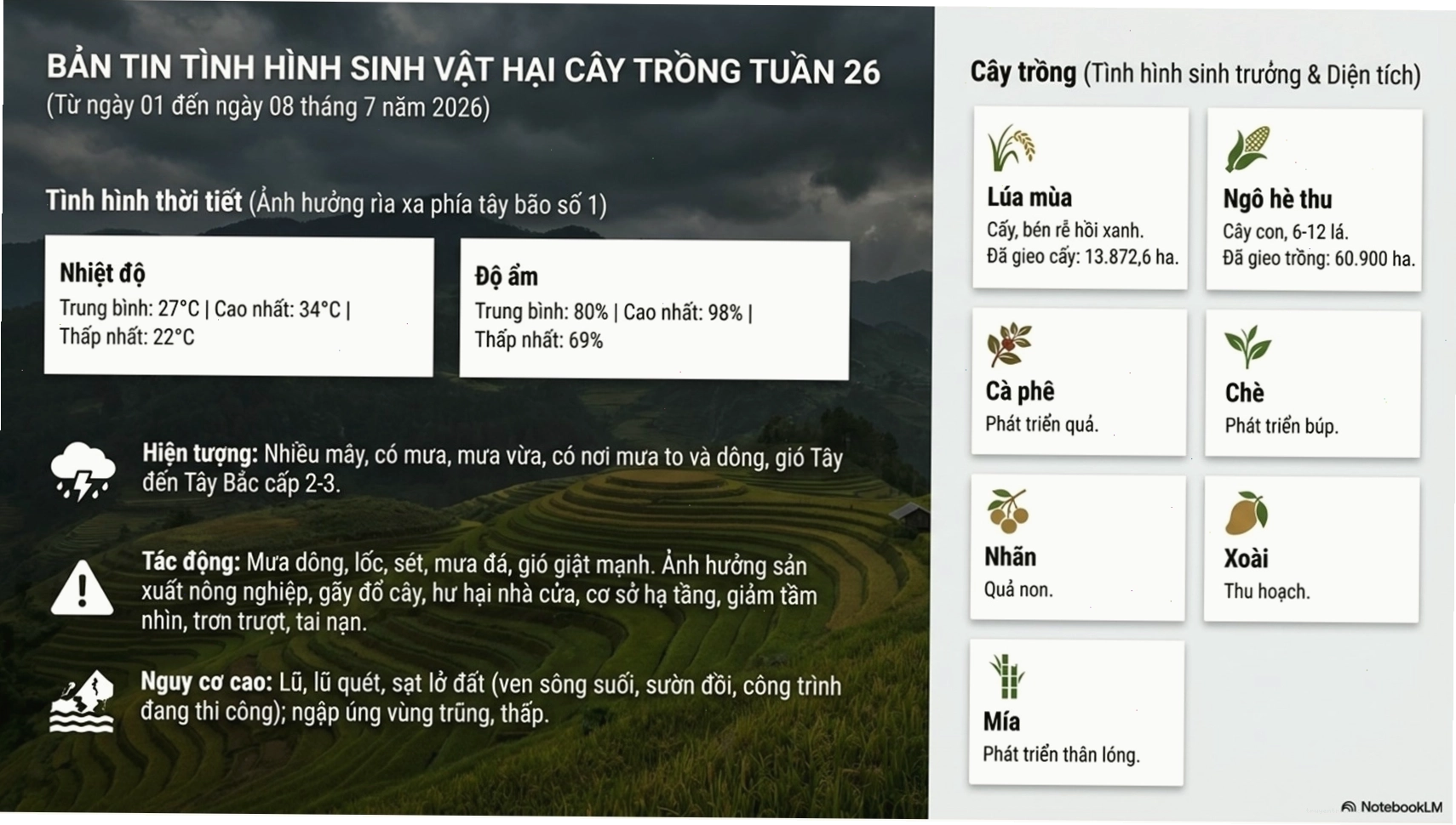 Cán bộ quan trắc đang kiểm tra thiết bị đo tại trạm