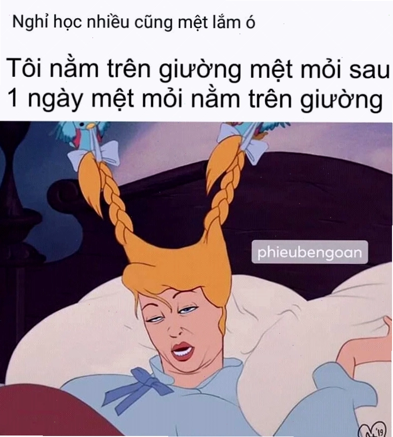 Meme nằm trên giường thư giãn tuyệt đối