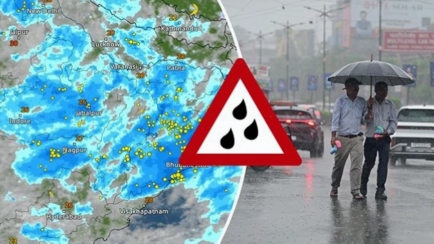 weather in delhi ncr rainfall chart