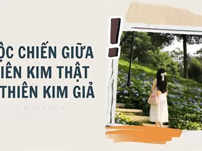 Tóm tắt truyện Cuộc chiến của những thiên kim hay nhất