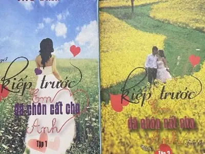 Nội dung tóm tắt truyện Kiếp Trước Em Đã Chôn Cất Cho Anh