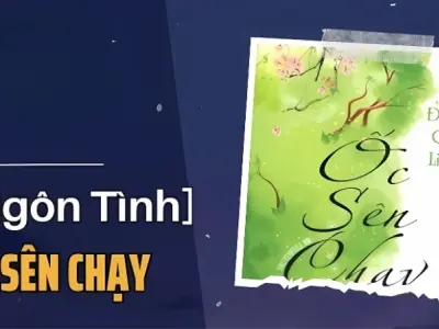 Tóm tắt truyện Ốc Sên Chạy ngôn tình chữa lành đáng đọc