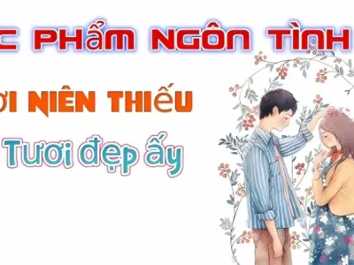 Trọn bộ tóm tắt truyện Thời Niên Thiếu Tươi Đẹp Ấy hay nhất