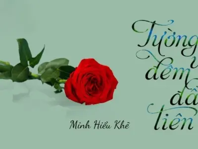 Toàn cảnh tóm tắt truyện Tường Vi Đêm Đầu Tiên ấn tượng
