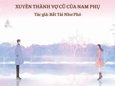 Tóm tắt truyện xuyên thành vợ cũ của nam phụ chi tiết nhất