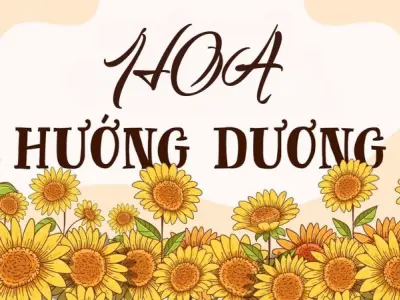 Tóm tắt Hoa hướng dương của Tiểu Ngư – Nỗi đau và tha thứ