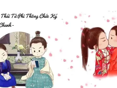 Tóm tắt Thái Tử Phi Thăng Chức Ký – Khi nam tử thành phi tử