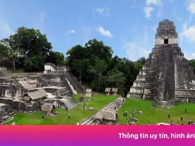 Giải mã sức hút bí ẩn của Truyền thuyết Maya qua nét vẽ lôi cuốn