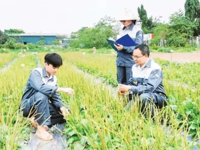 Review Phi ưng diệt bạo chân thực trải nghiệm phim hành động đỉnh cao