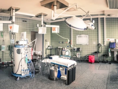 Kinh nghiệm khám bệnh cho mèo và bảng giá dịch vụ mới nhất 2026