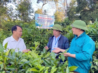 Tác động của thời tiết đến nông nghiệp và giải pháp ứng phó năm 2026